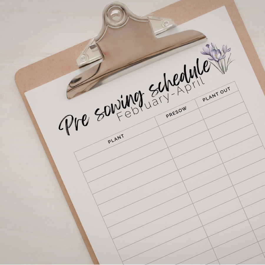 My Seed Planner | printable PDF